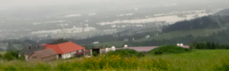 Ein Blick über den Hundehof ins überschwemmte Donautal