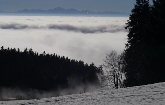 Nebelmeer und Alpen 
