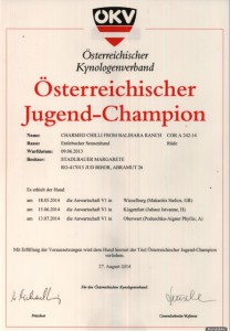 Champion Urkunde