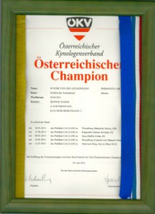 Champion Urkunde 